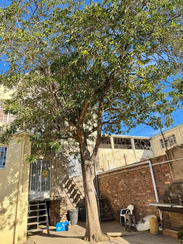 Commercial Property for Sale in Grahamstown Eastern Cape